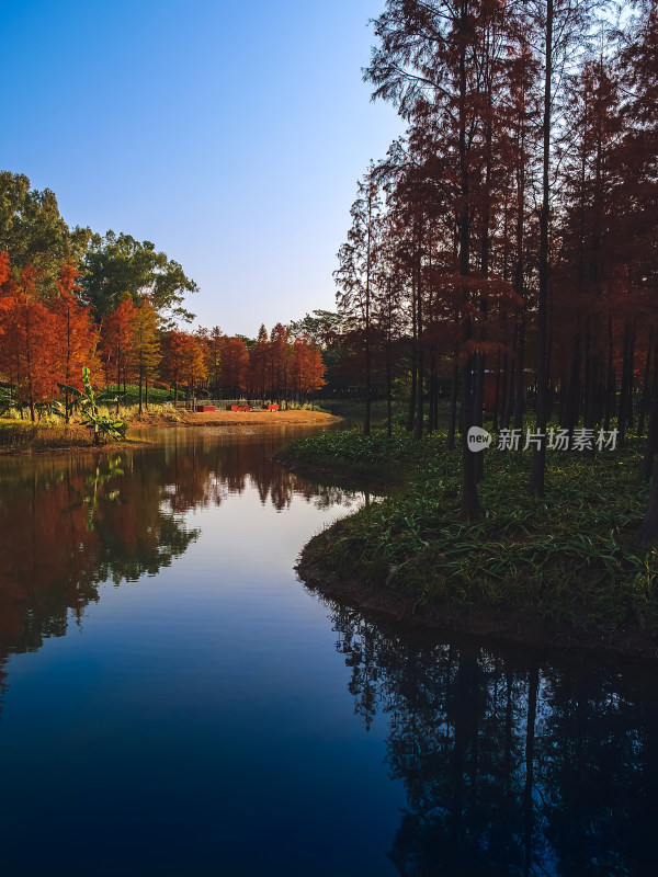 秋天公园里湖边风景