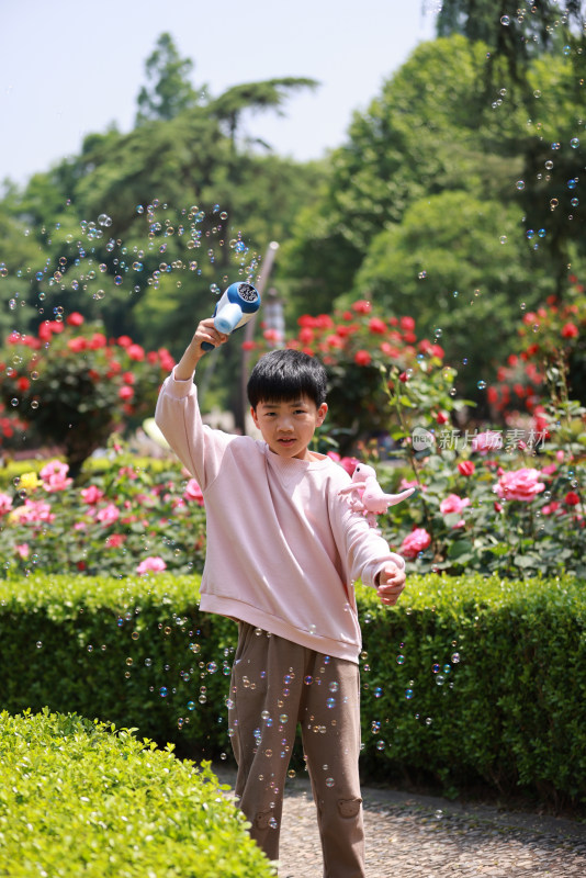 杭州花圃月季花展赏花的男孩
