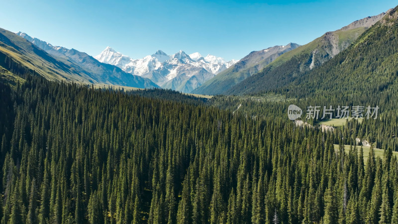 航拍雪山森林河流风景