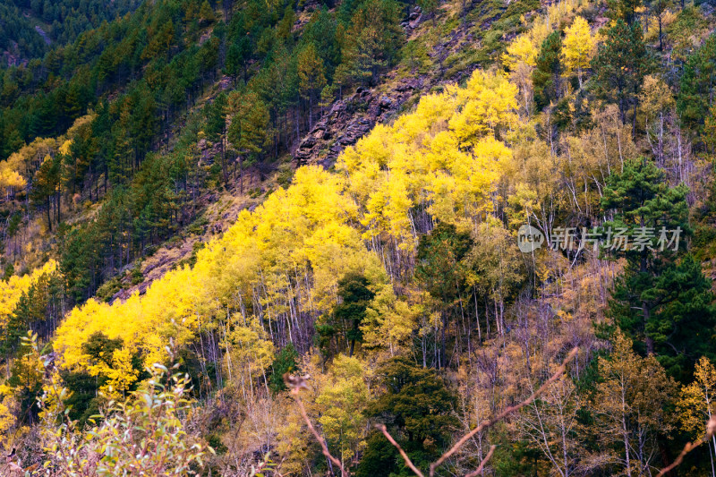 川西新都桥318秋色日出红叶贡嘎美景