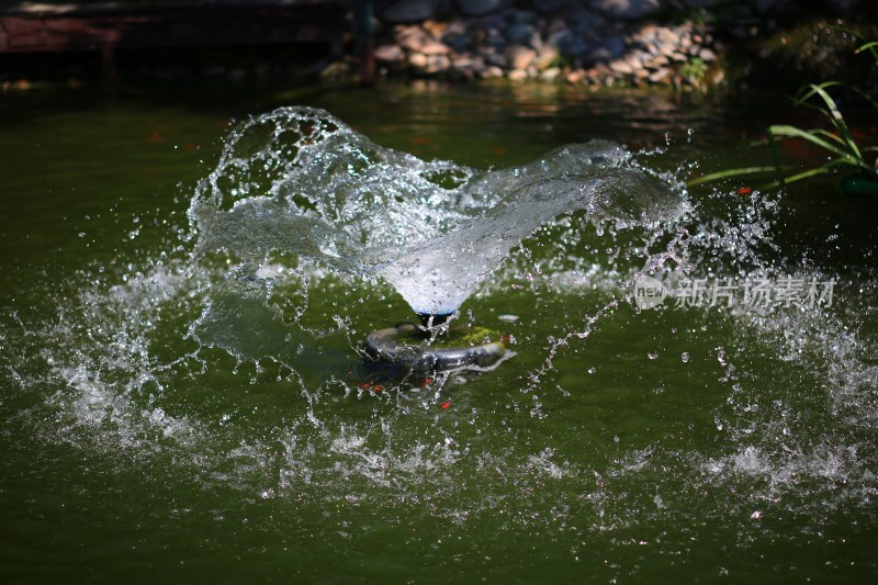 池塘中喷泉喷水瞬间