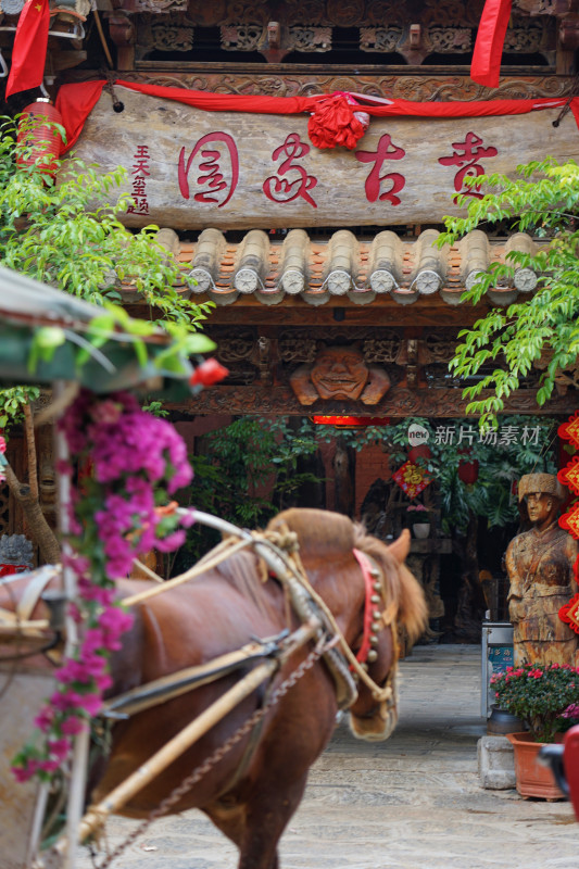 云南普者黑风景区，仙人洞村，马车