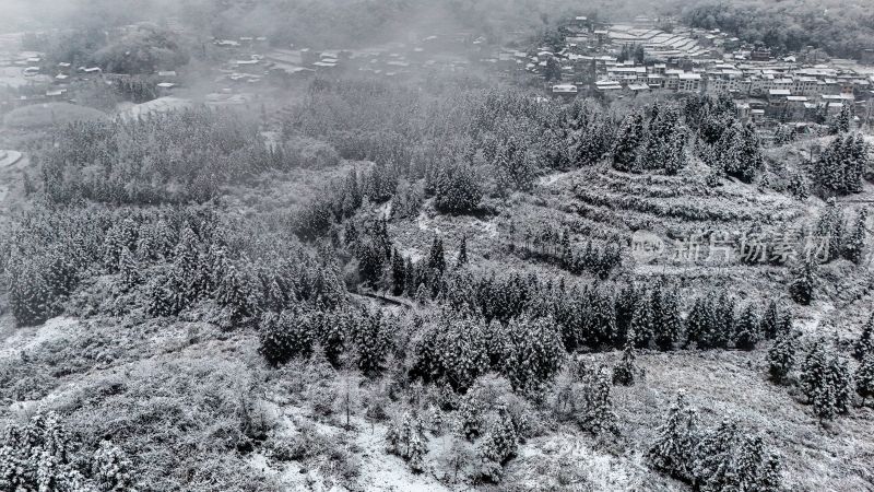 重庆酉阳：大雪纷飞赏雪忙