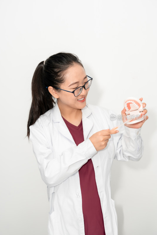 年轻的中国籍女性牙医拿着牙齿模型示范刷牙