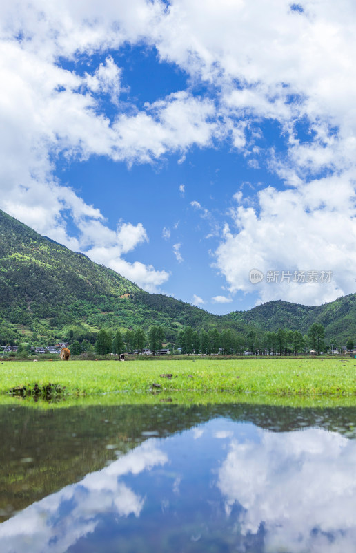 文海丽江风景