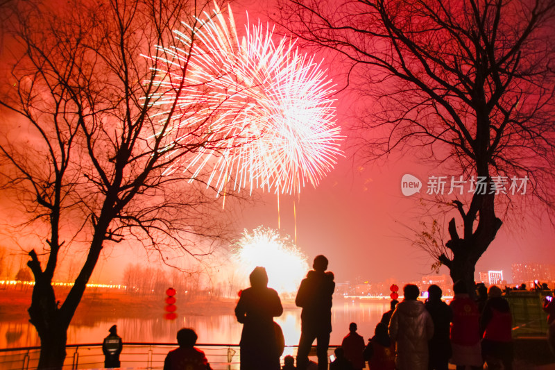 新年烟火下的剪影