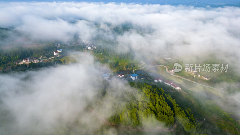 航拍四川南充嘉陵区美丽乡村