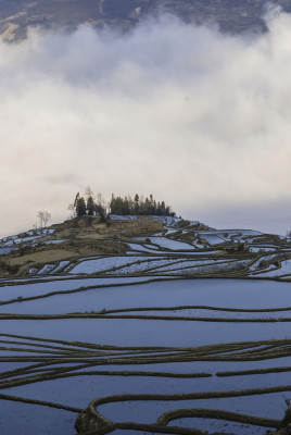 元阳梯田