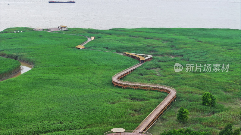 上海崇明岛东滩湿地全景 国家级保护区