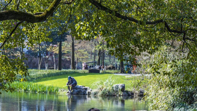 杭州西湖太子湾公园风景