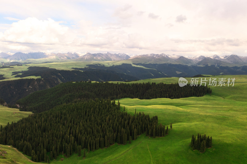 中国新疆伊犁喀拉峻大草原自然风景