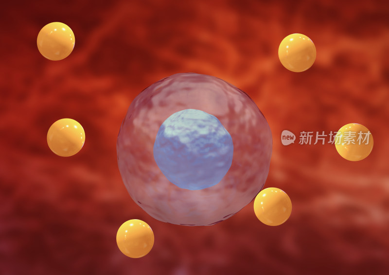 细胞结构微观示意图