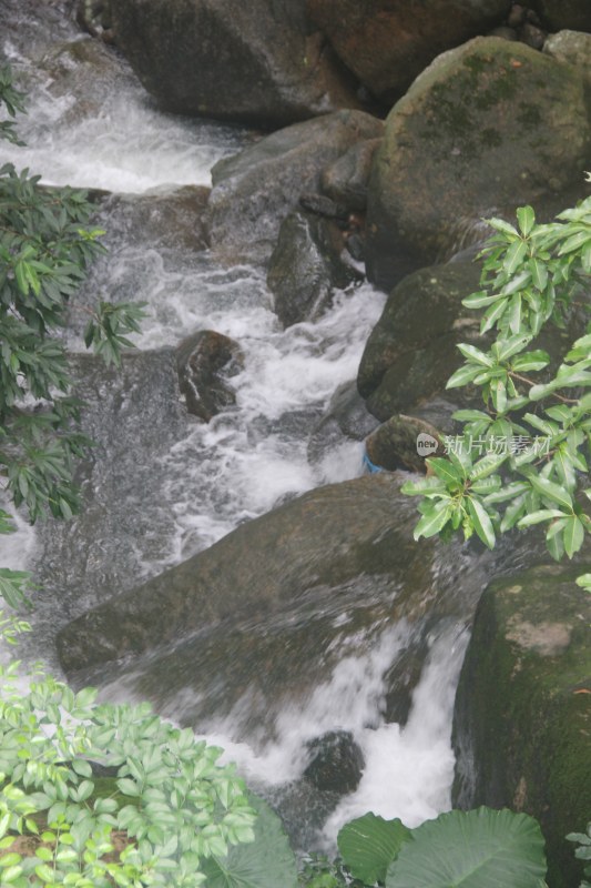 广东东莞：银瓶山溪流流水潺潺