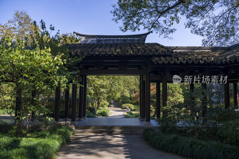 杭州西湖风景区曲院风荷风景