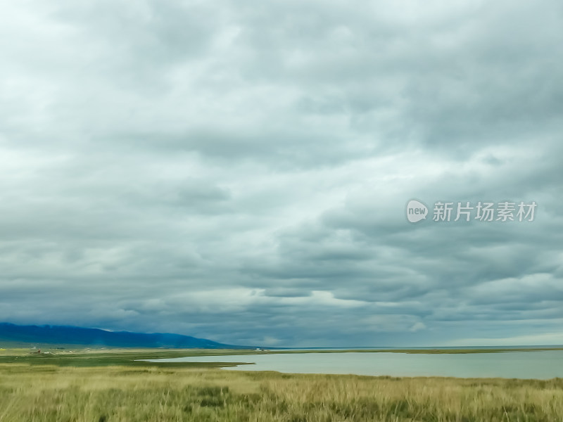 六月的青海湖风景