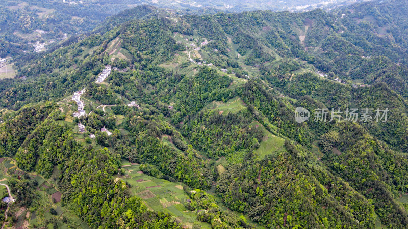 大山山峰农村农业农民茶园