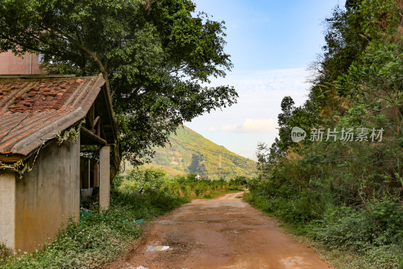 深圳凤凰山景观