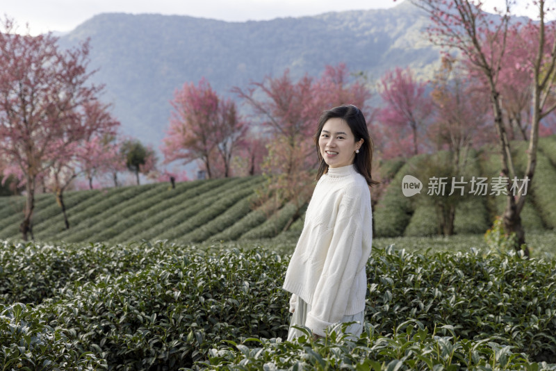 春天在樱花谷花海度假休闲的美女