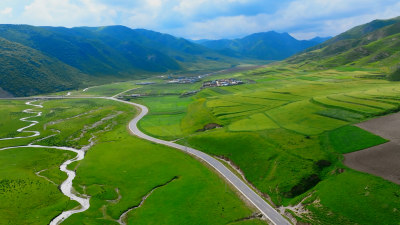 湿地 黄河 河流