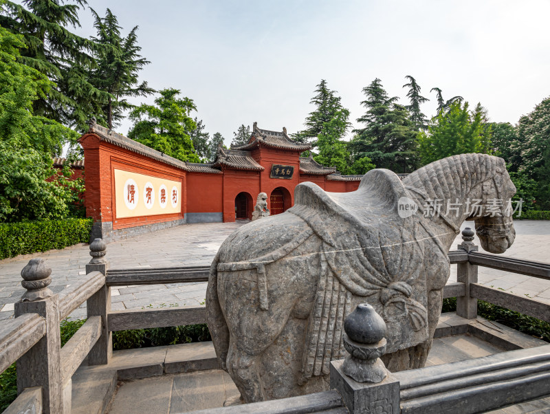 洛阳白马寺入口门白马石狮子景点景观