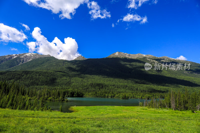 新疆阿勒泰地区喀纳斯森林草原自然风景