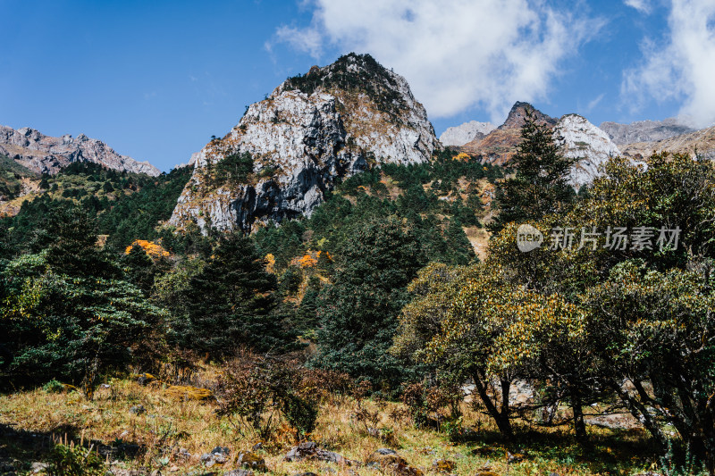 丽江玉龙雪山蚂蝗坝