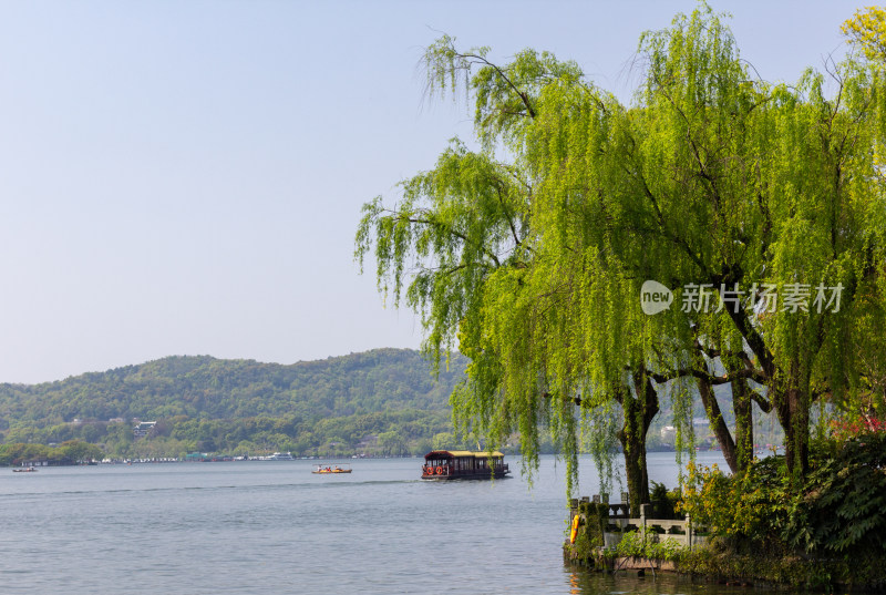 杭州西湖边垂柳与游船风景