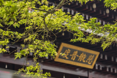 杭州拱墅区香积寺古建筑