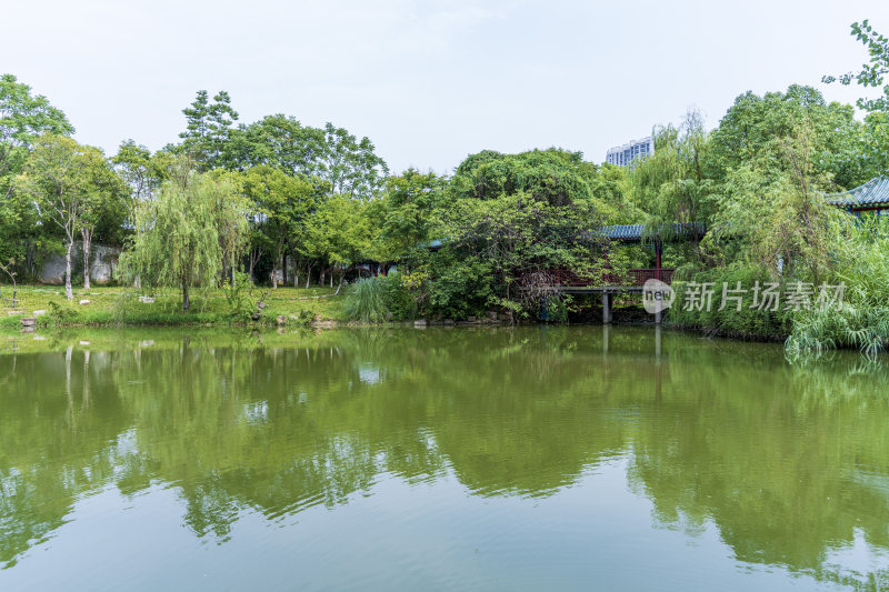 武汉汉阳月湖风景区风光