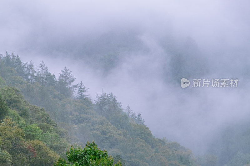 汉中留坝火烧店镇秦岭深处雨后山间的云雾