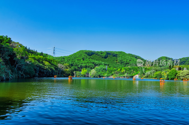 深圳仙湖植物园湖泊游船与碧绿树林