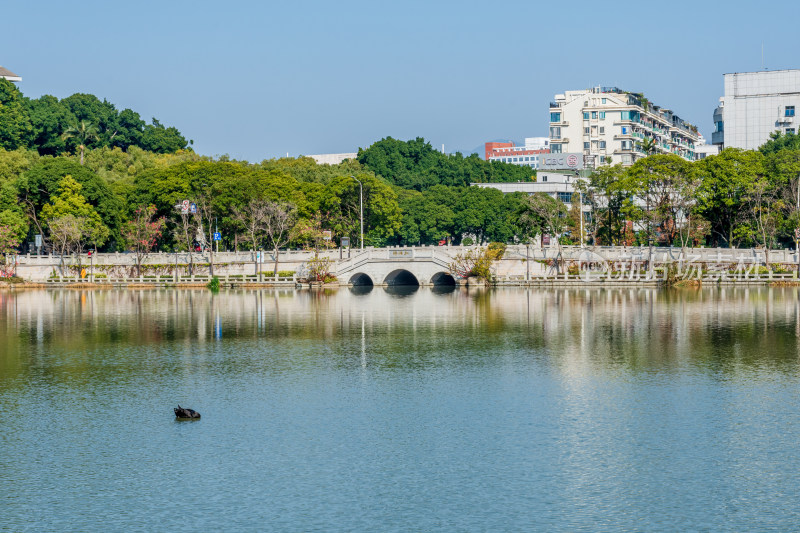 福州黎明湖公园景色