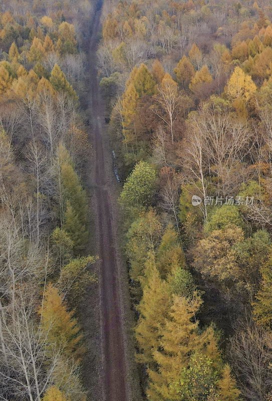 长白山 ，秋天，林间公路航拍