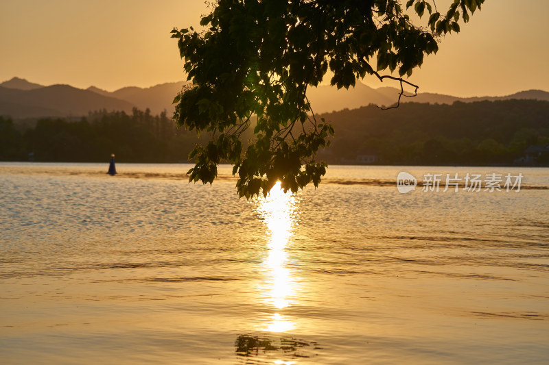 西湖的金色夕阳美景