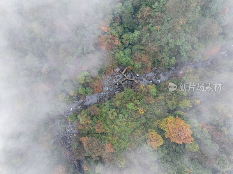 航拍四川雅安龙苍沟山林溪流秋景