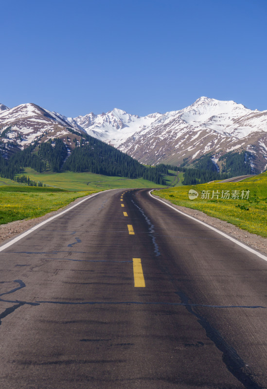 新疆伊犁那拉提草原公路雪山