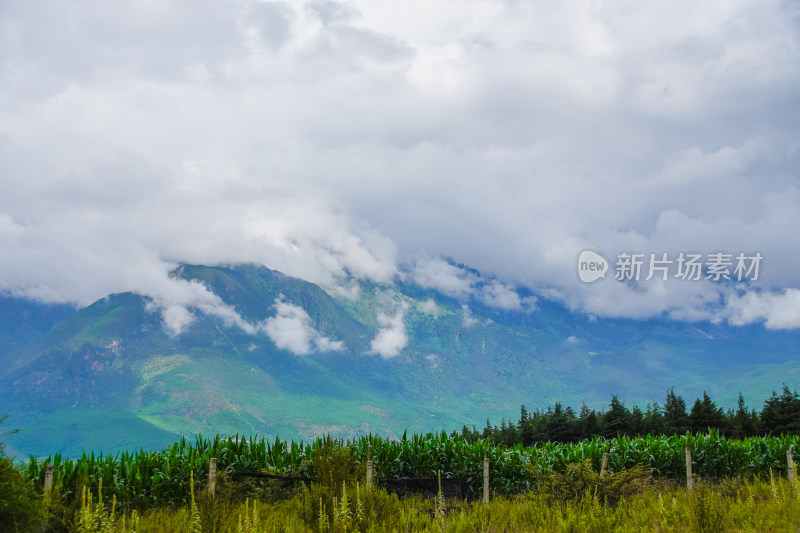 云雾缭绕的绿色山峦