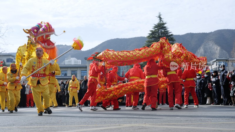 节日舞龙庆祝