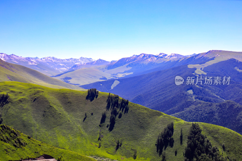 春季新疆大自然山河雪山草原风光