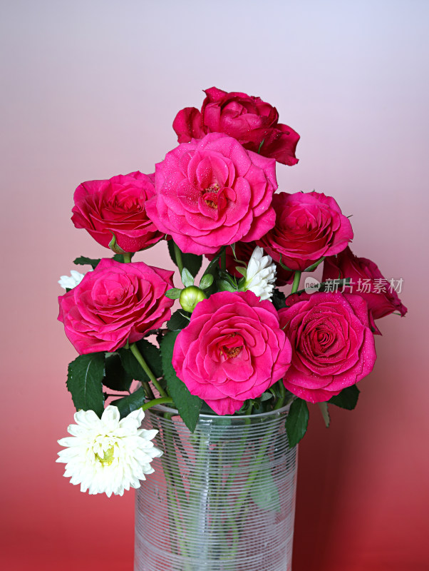 花瓶上的一束红色玫瑰花