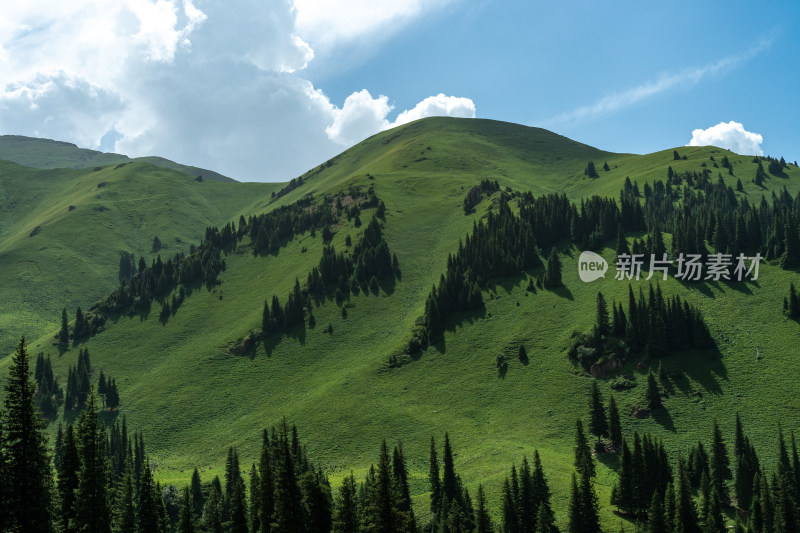 新疆伊犁那拉提景区