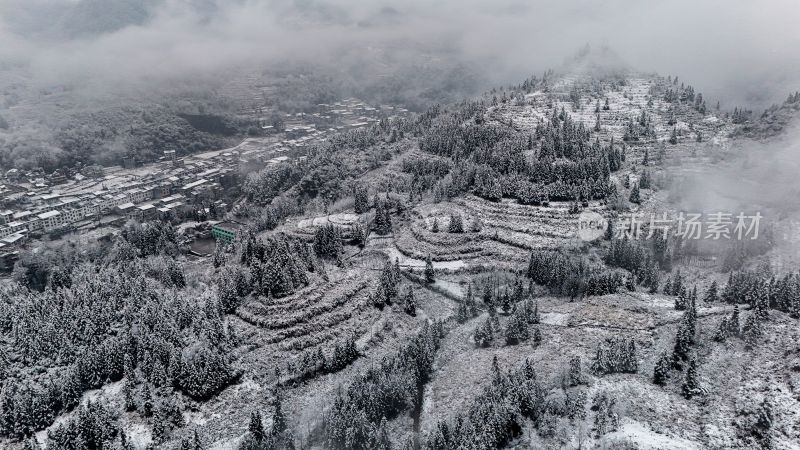 重庆酉阳：大雪纷飞赏雪忙