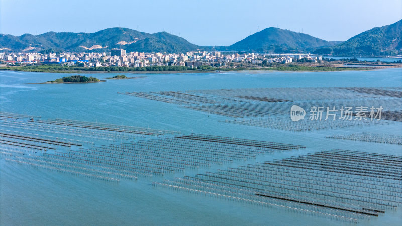 惠州市盐洲岛生蚝海上养殖场