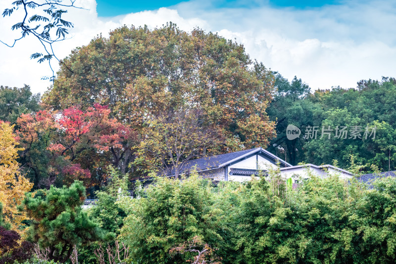 南京钟山风景名胜区明孝陵中的建筑风景