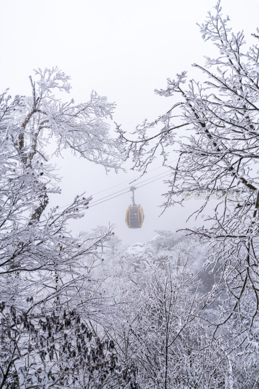 老君山下雪大山森林雾凇景观