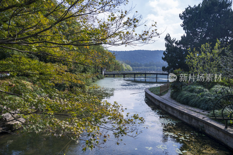 杭州西湖花港观鱼风景