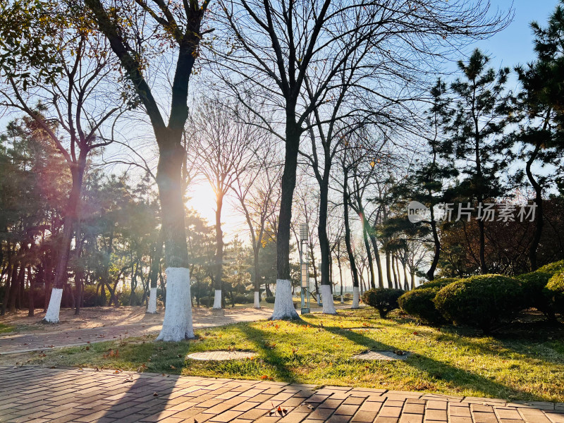 日照灯塔风景区-13