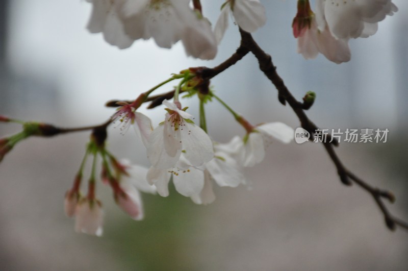 长沙风景，自然风光，长沙城景