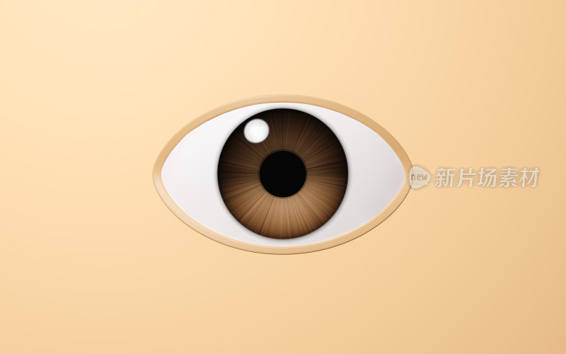 眼球与瞳孔3D渲染