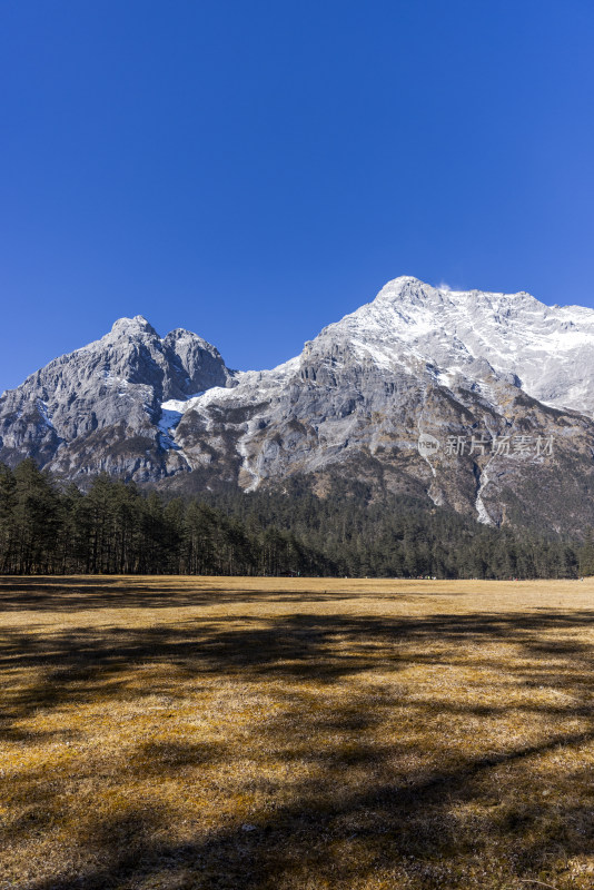 云南丽江玉龙雪山云杉坪